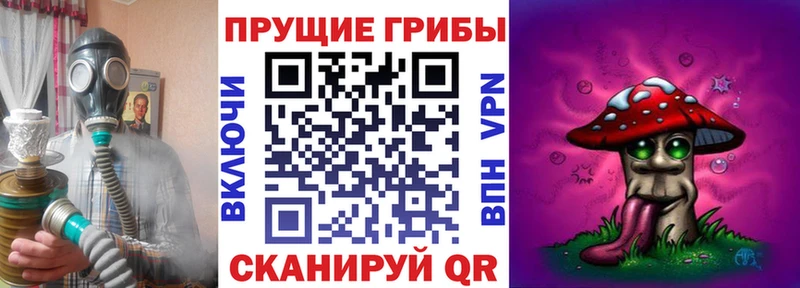 где купить наркоту  Новосиль  Псилоцибиновые грибы Magic Shrooms 